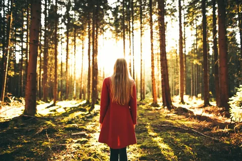 Burnout-Prävention im Wald